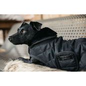 Kentucky Dog Coat Original Royal Black