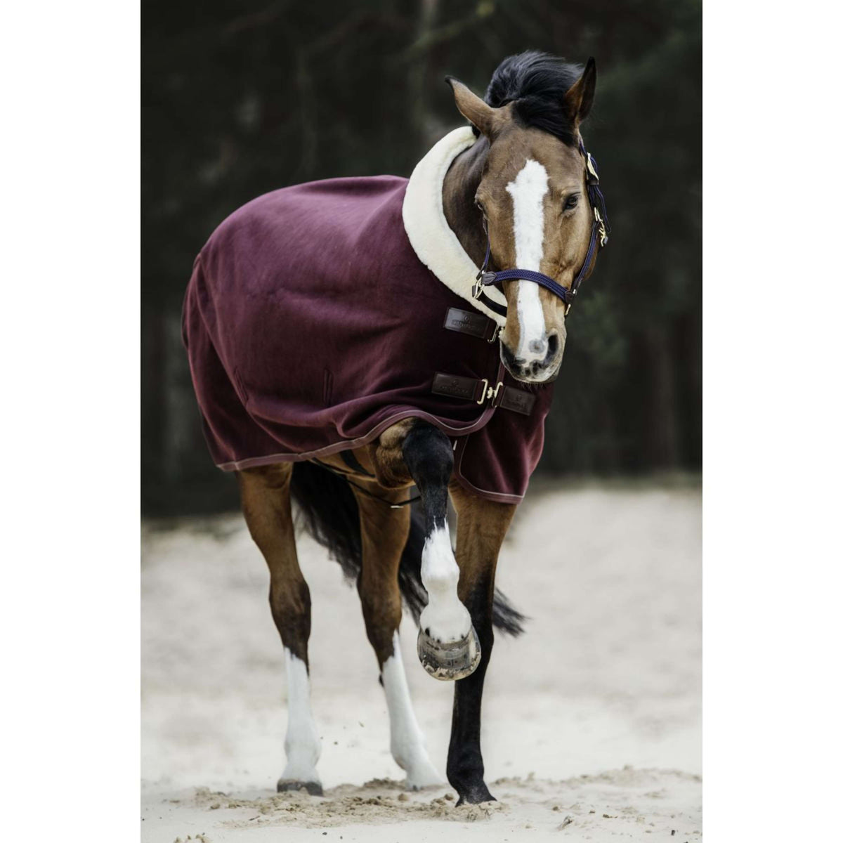 Kentucky Sweat Rug Show Fleece Heavy Bordeaux