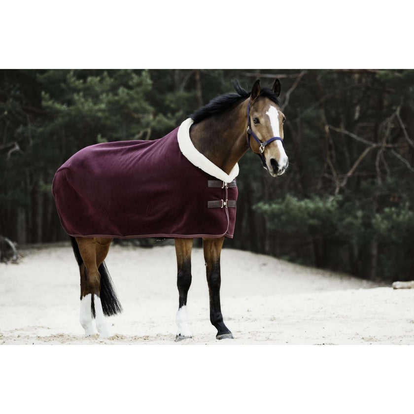 Kentucky Sweat Rug Show Fleece Heavy Bordeaux