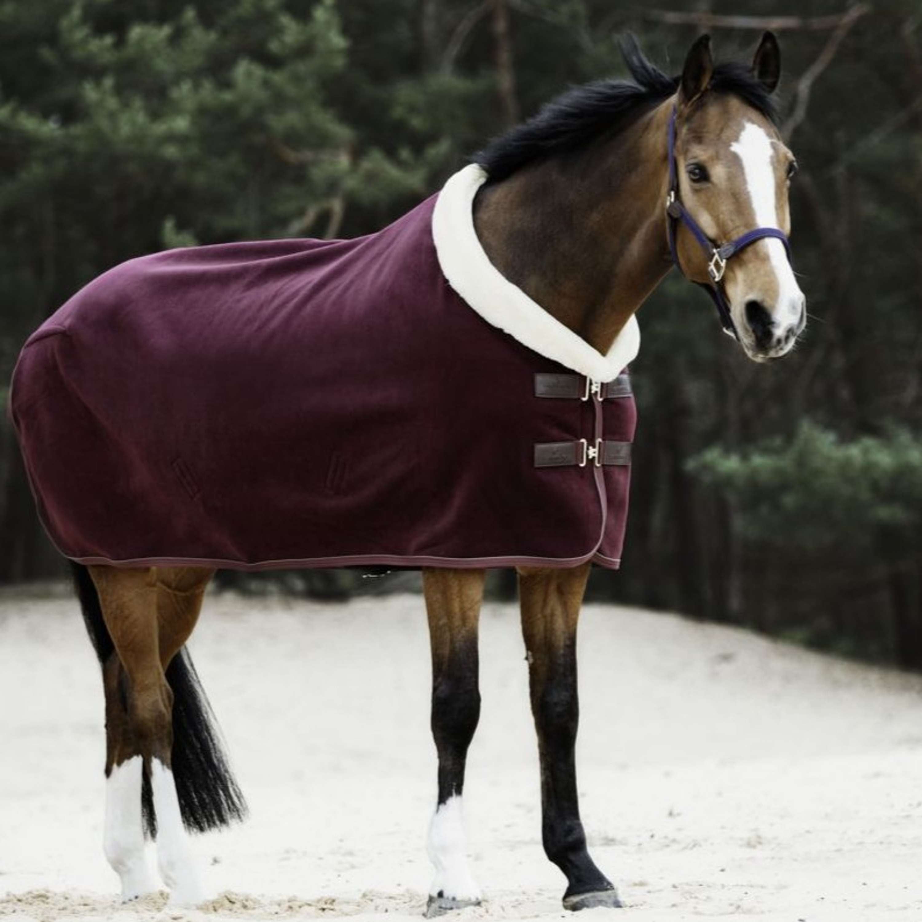 Kentucky Sweat Rug Show Fleece Heavy Bordeaux