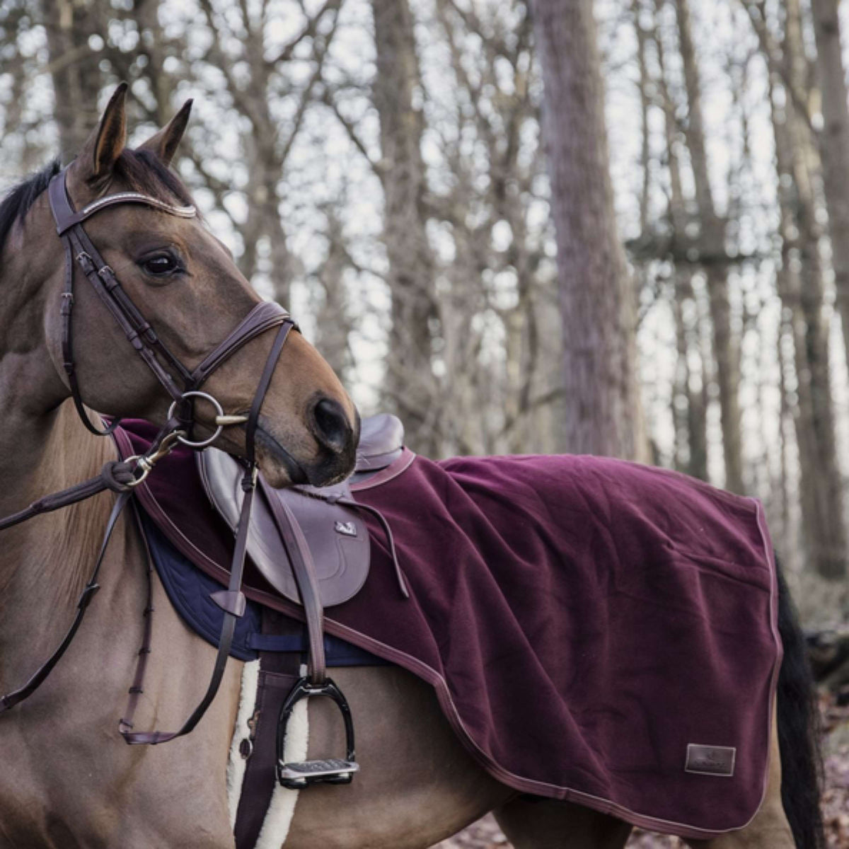 Kentucky Exercise Rug Heavy Fleece Bordeaux