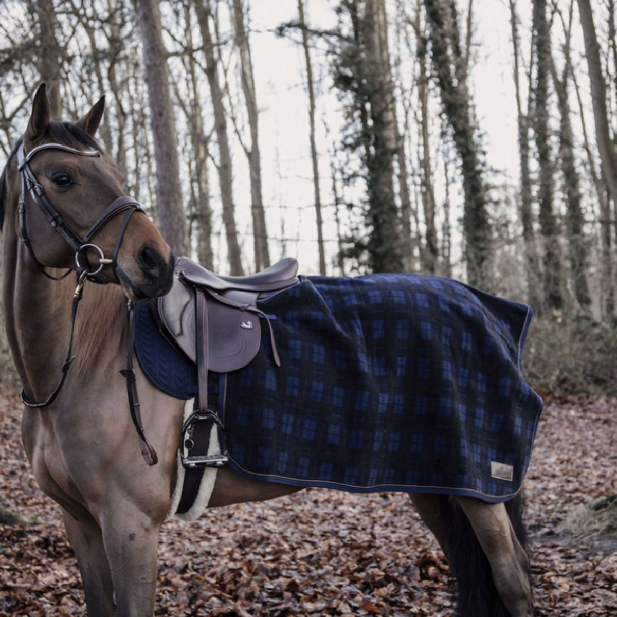 Kentucky Exercise Rug Square Heavy Fleece Dark blue