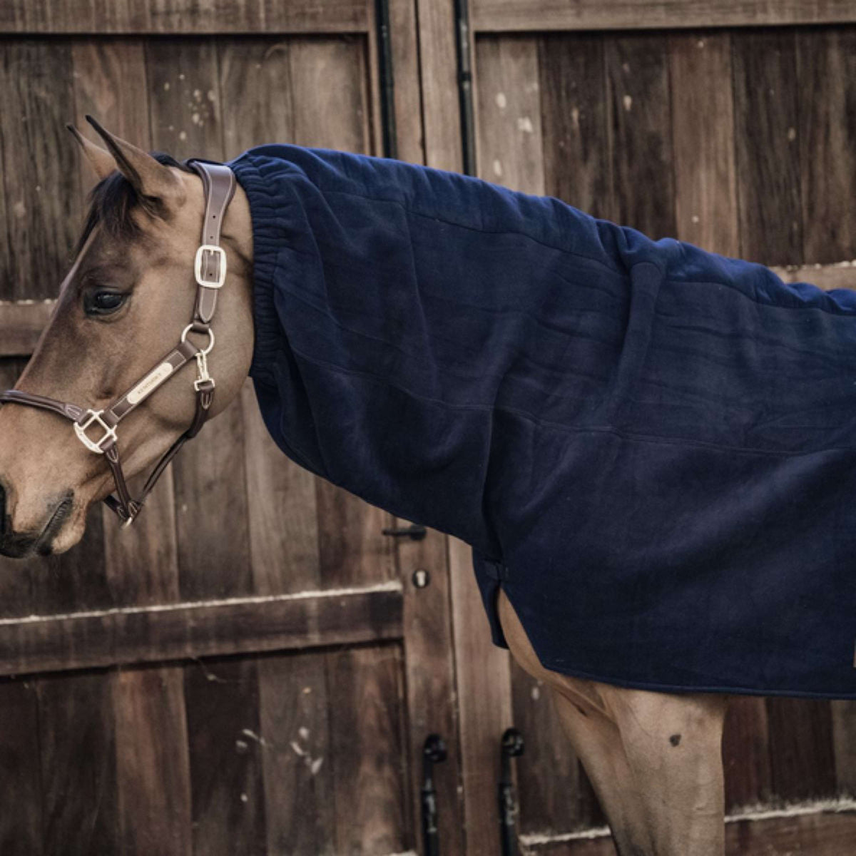 Kentucky Neck Heavy Fleece Navy