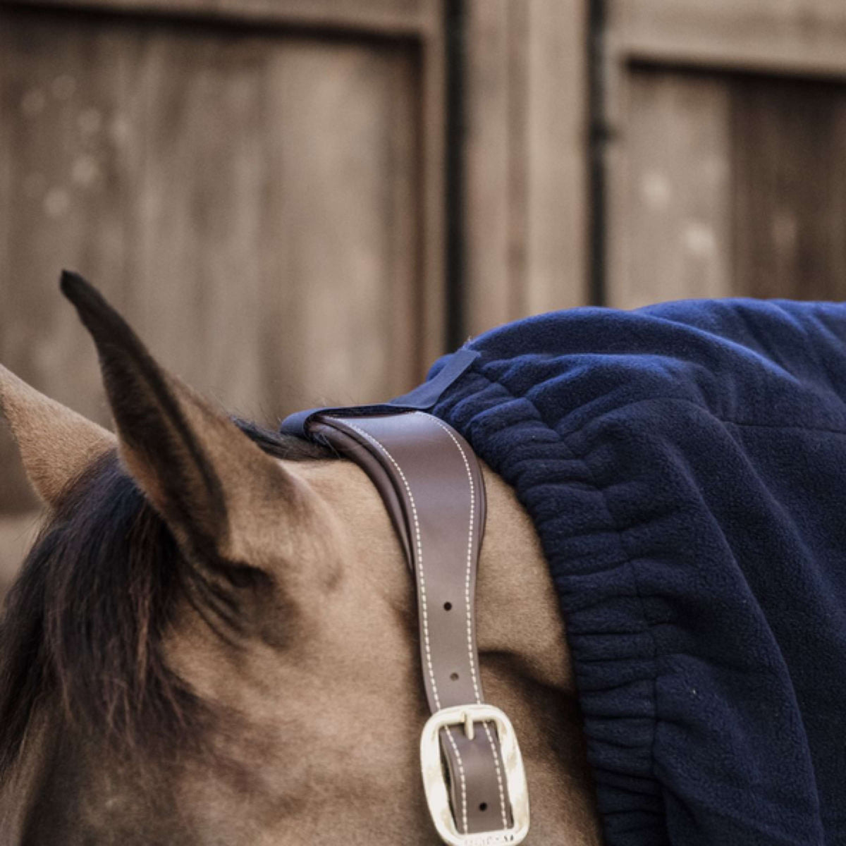 Kentucky Neck Heavy Fleece Navy