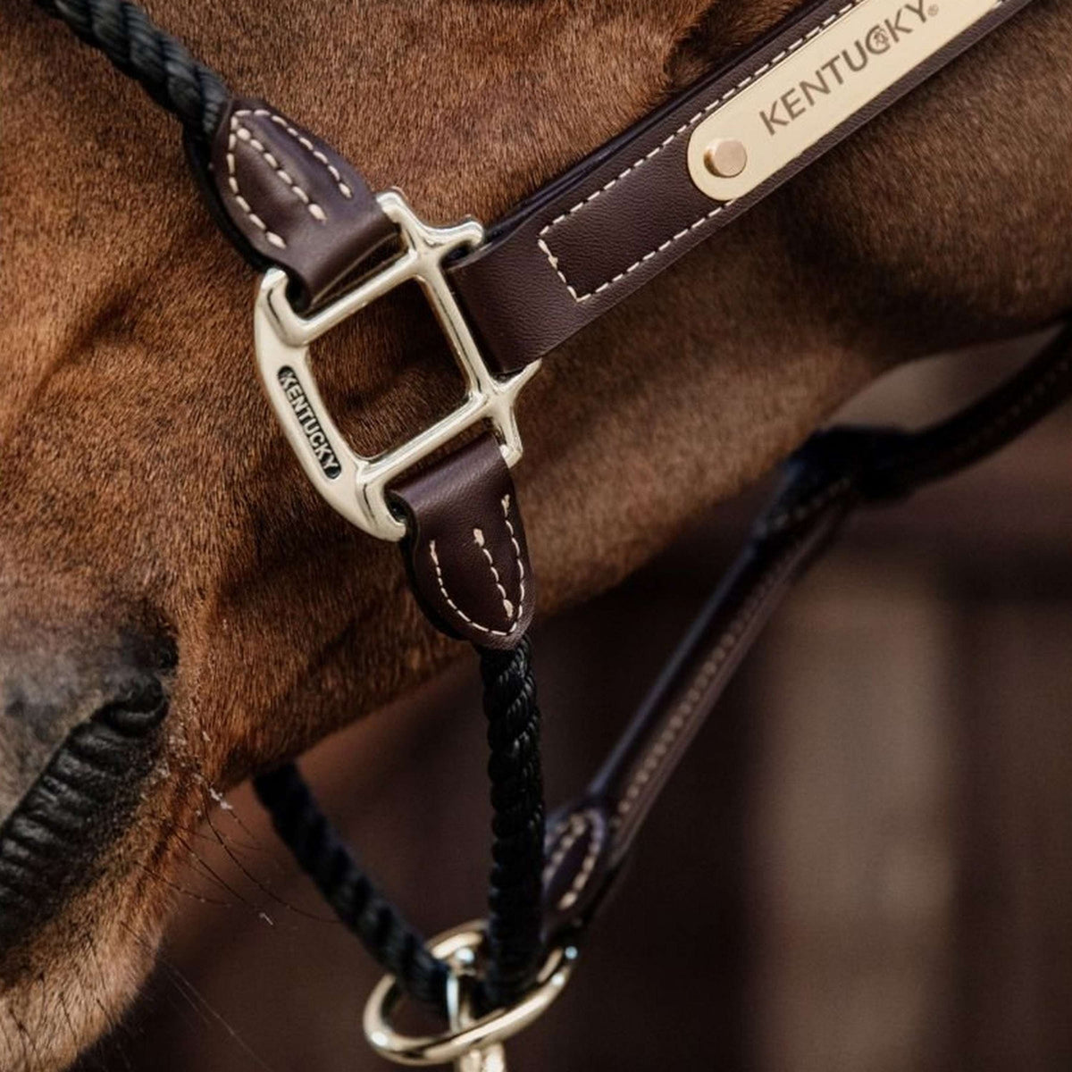 Kentucky Rope Halter Leather