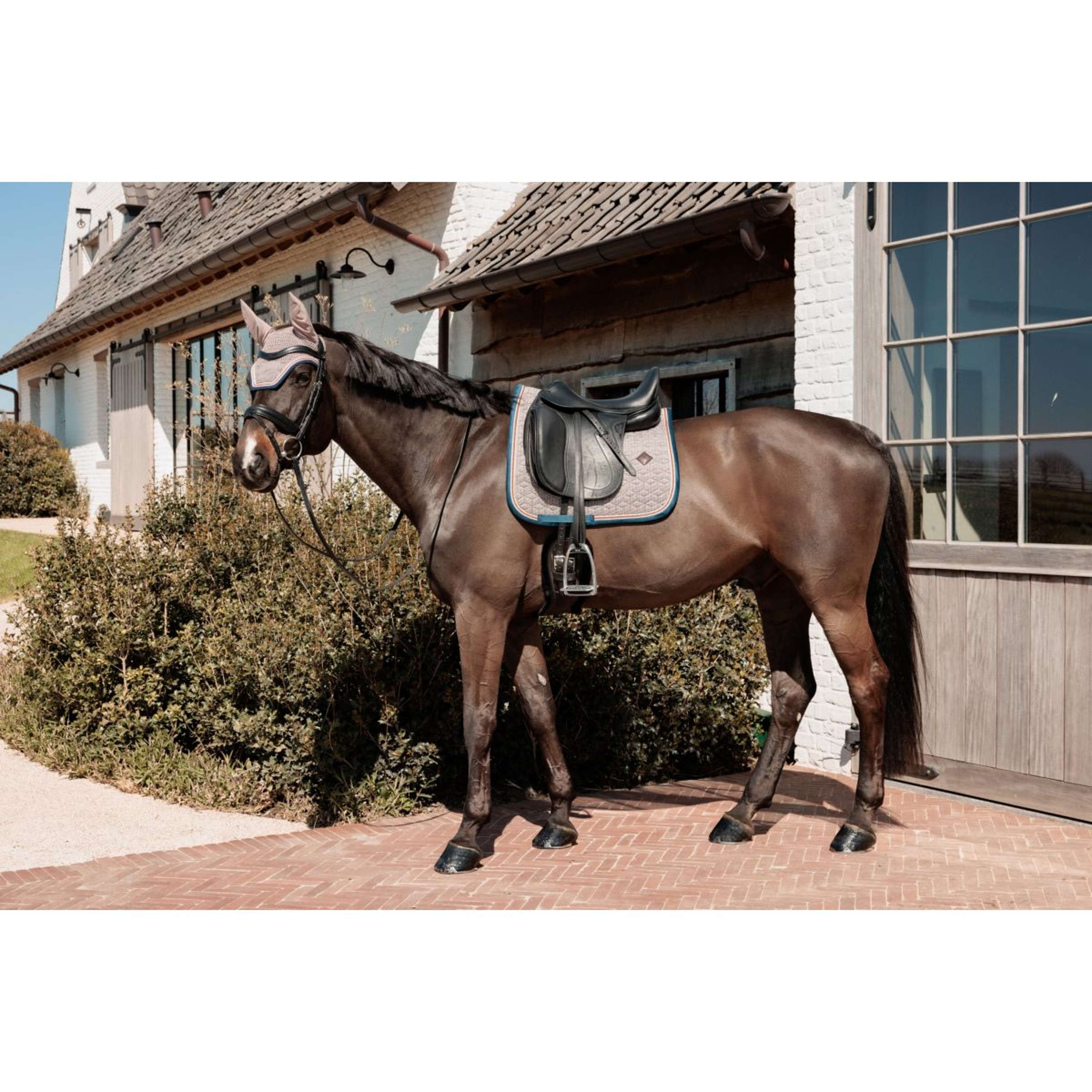 Kentucky Horsewear Saddlepad Pied-de-Poule Dressage Bordeaux/Navy