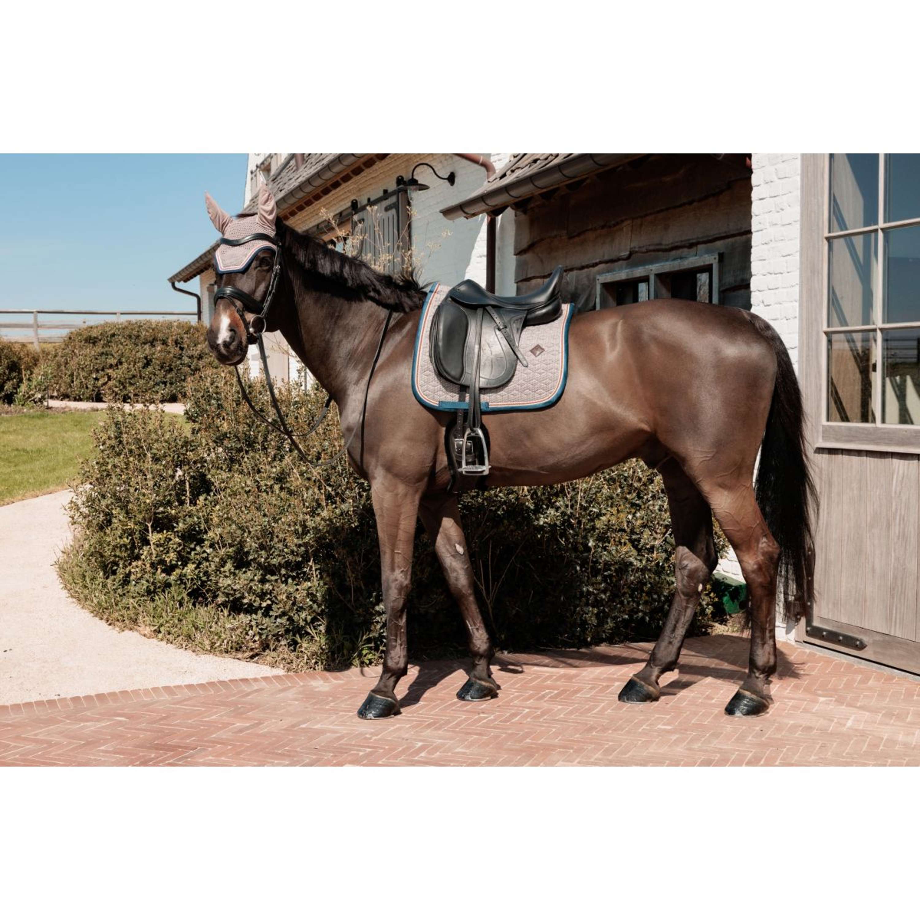 Kentucky Horsewear Saddlepad Pied-de-Poule Dressage Bordeaux/Navy