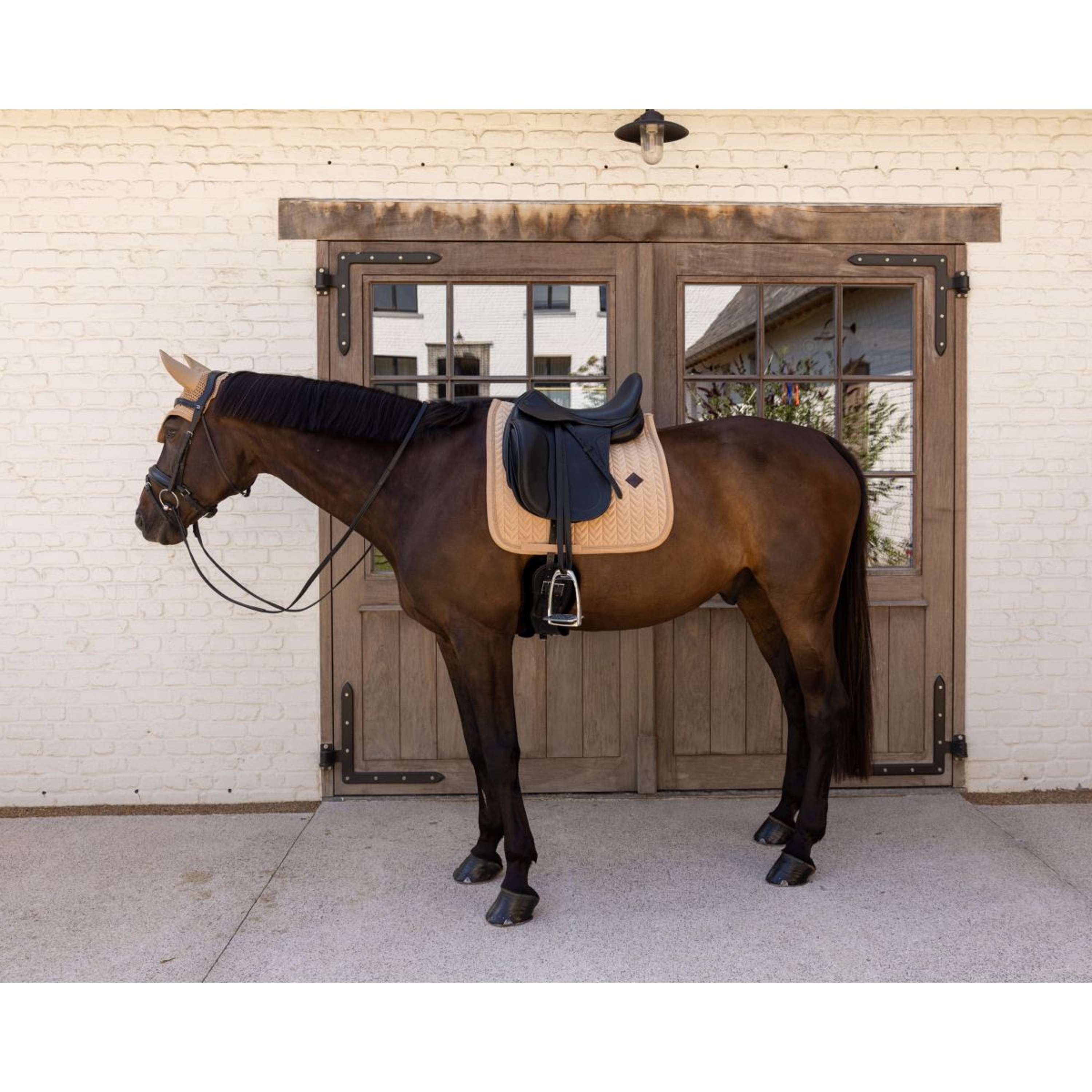 Kentucky Saddlepad Velvet Mini Pearls Dressage Beige