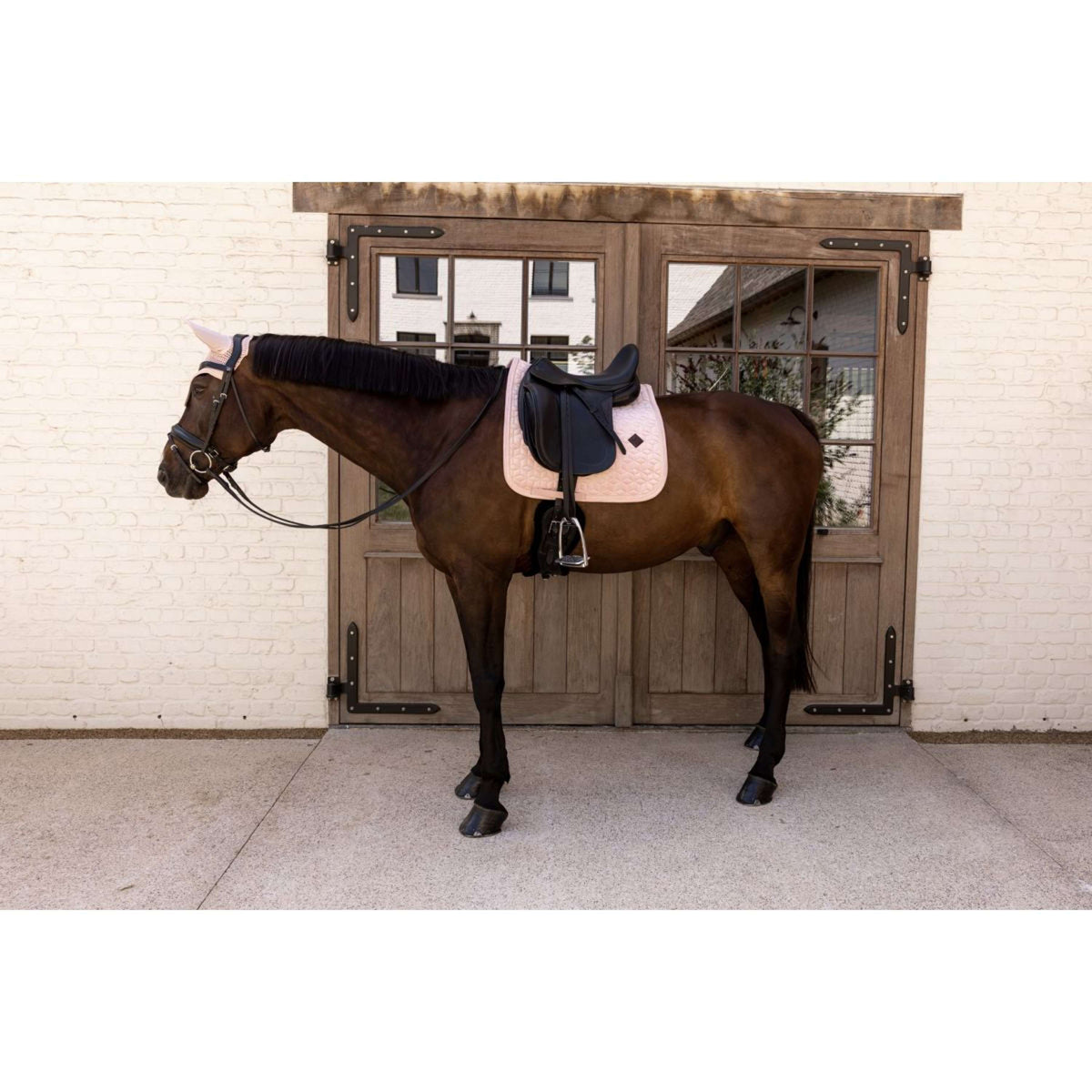 Kentucky Saddlepad Velvet Dressage Soft Rose