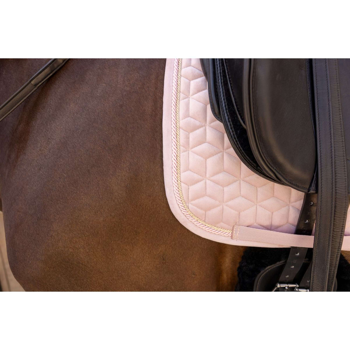 Kentucky Saddlepad Velvet Dressage Soft Rose