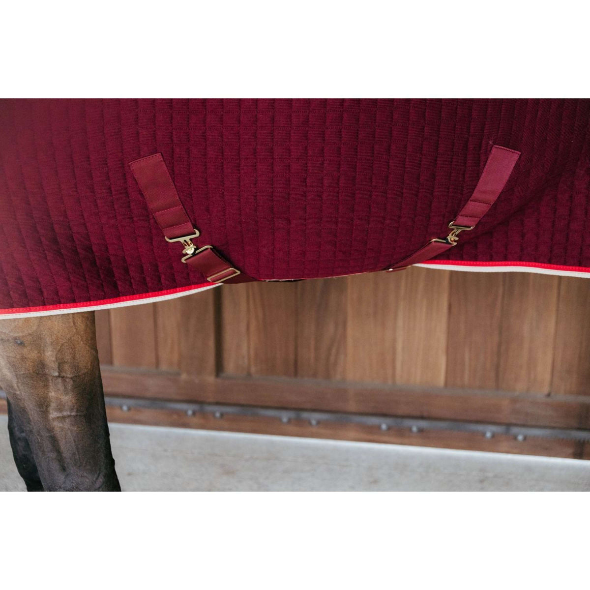 Kentucky Cooler rug PROTherm Bordeaux