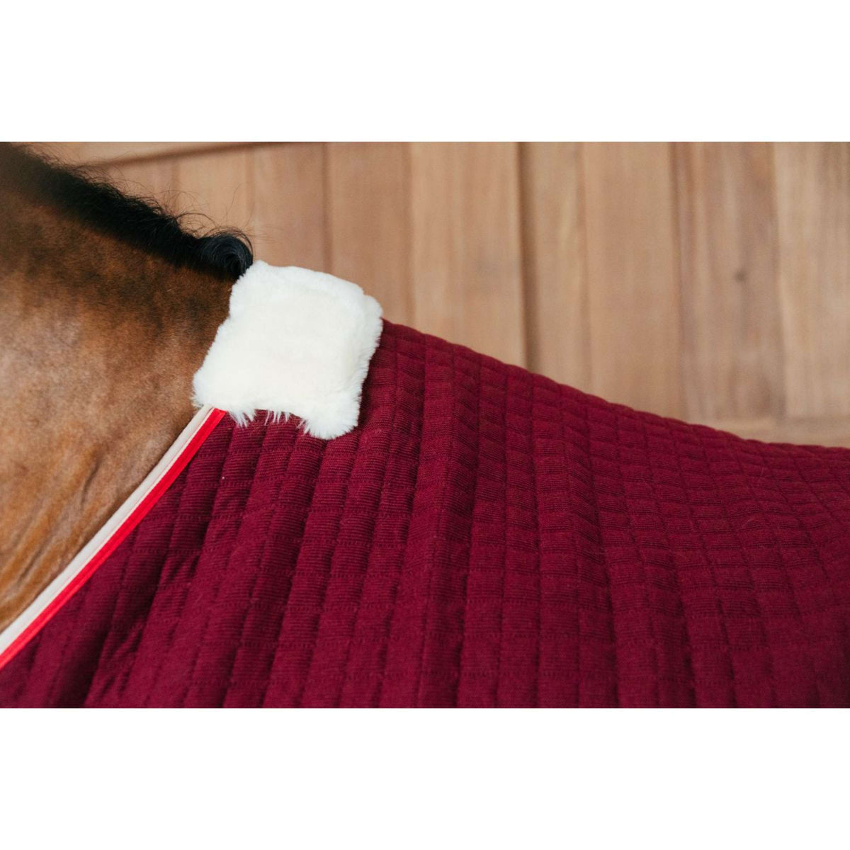 Kentucky Cooler rug PROTherm Bordeaux