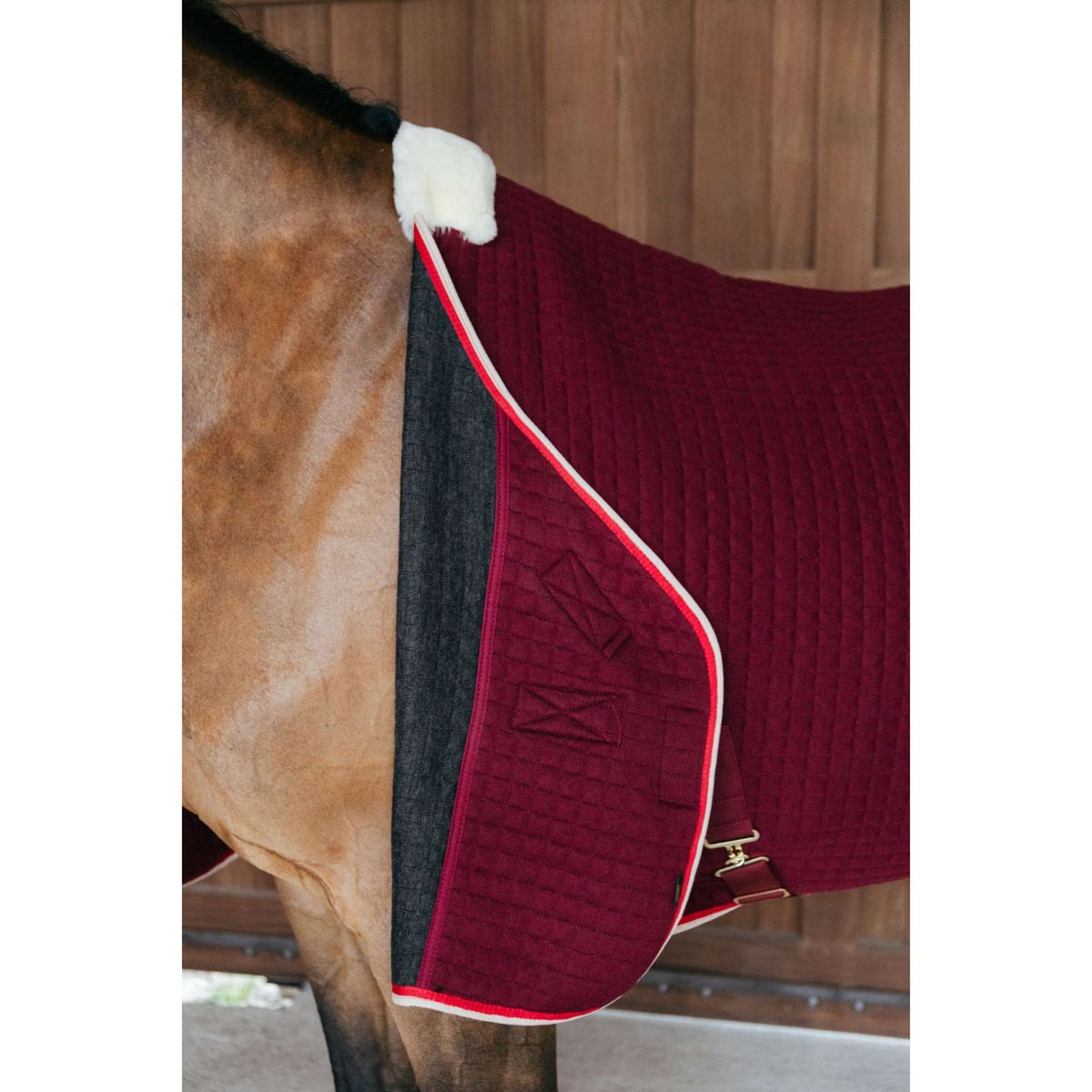 Kentucky Cooler rug PROTherm Bordeaux