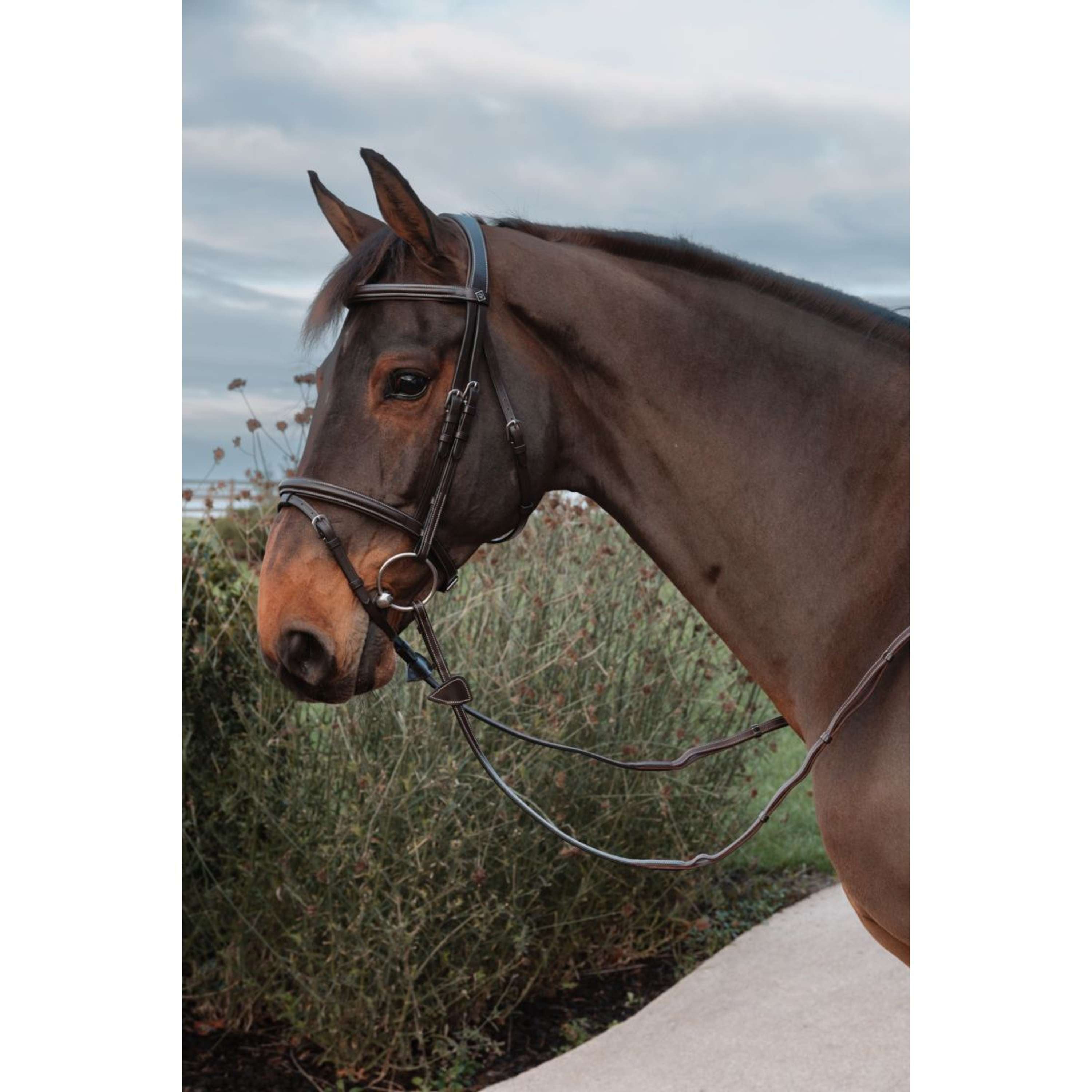 Dyon Reins Leather Working Collection 1/2 with Handles Brown