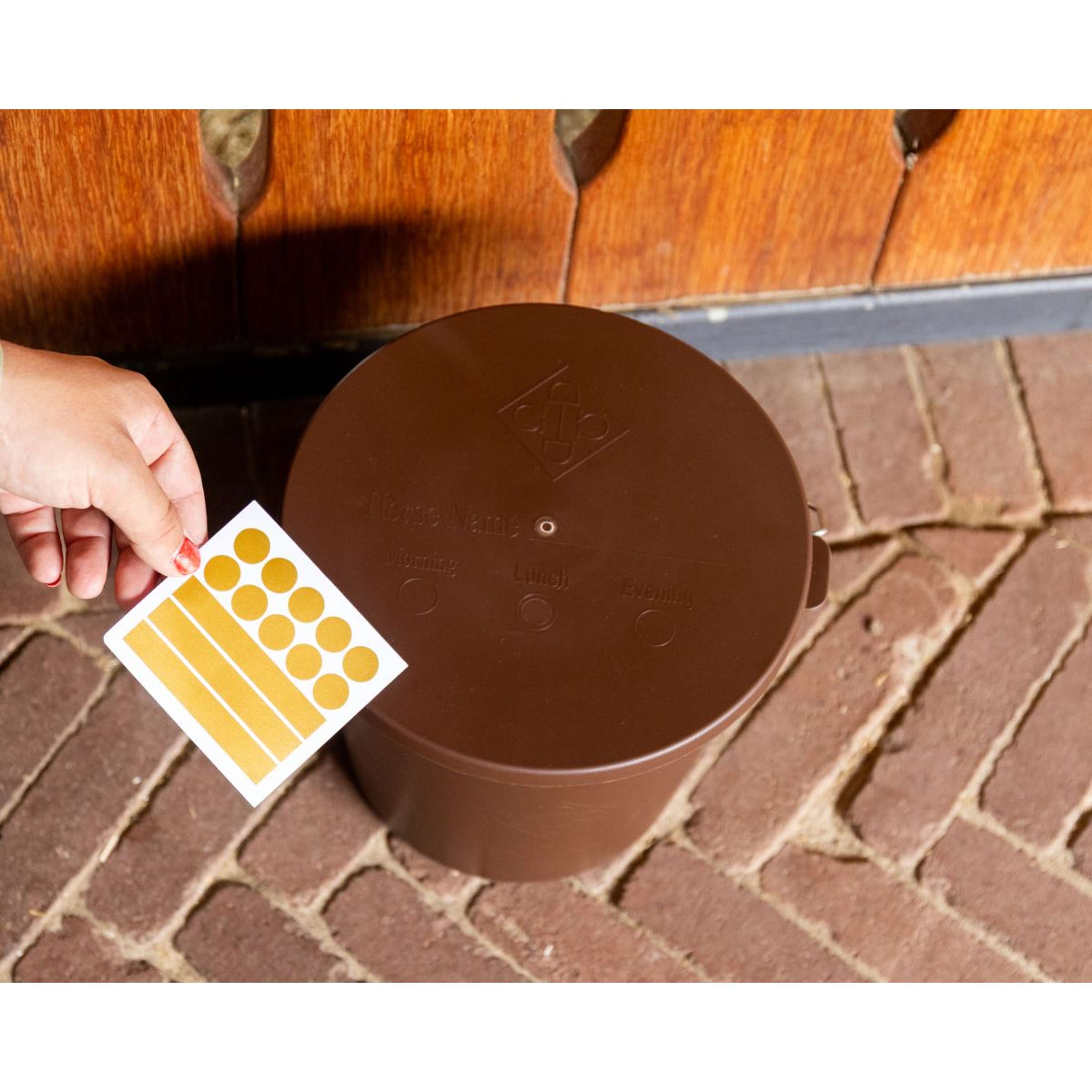 Kentucky Bucket with Lid Brown