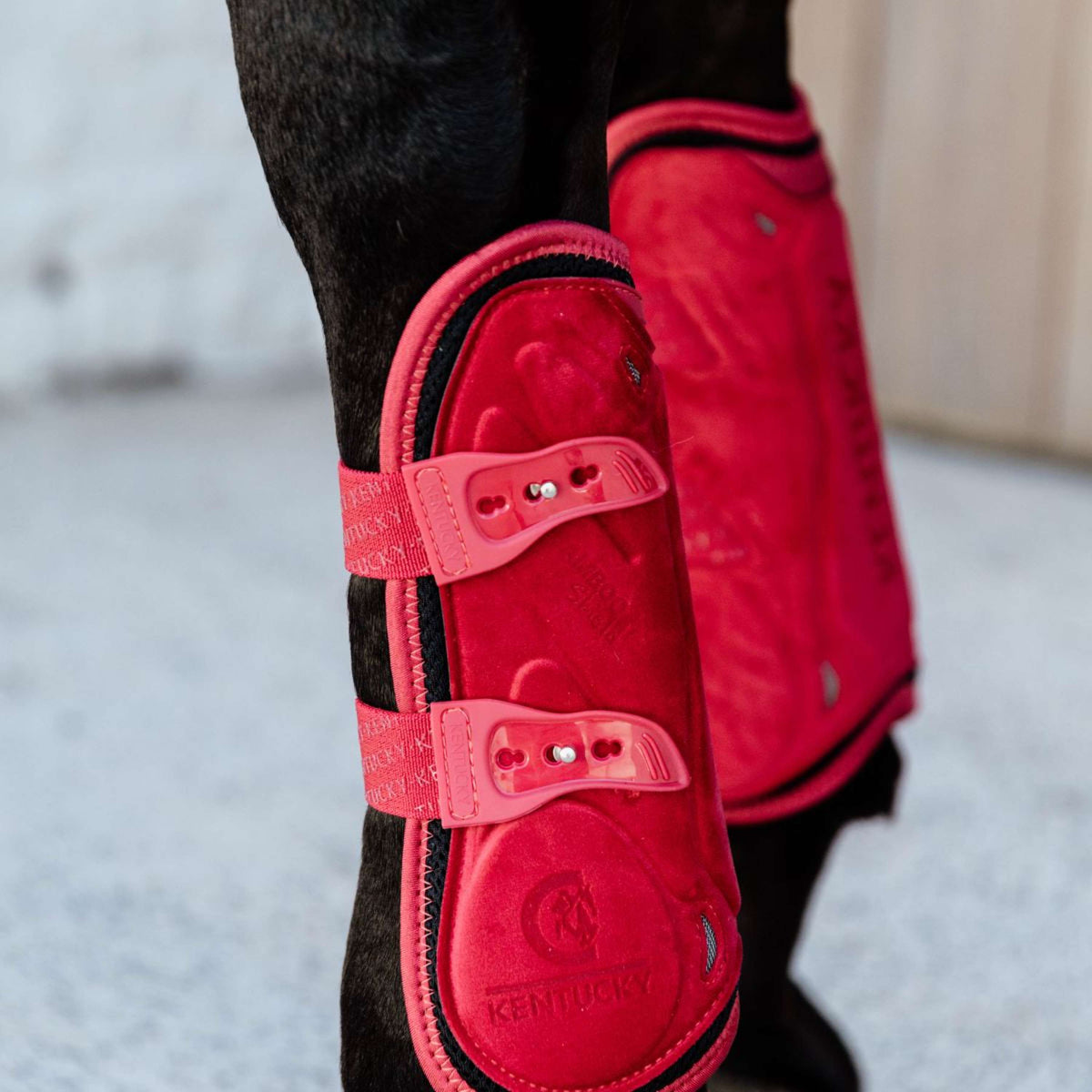 Kentucky Tendon Boots Bamboo Elastic Velvet Red