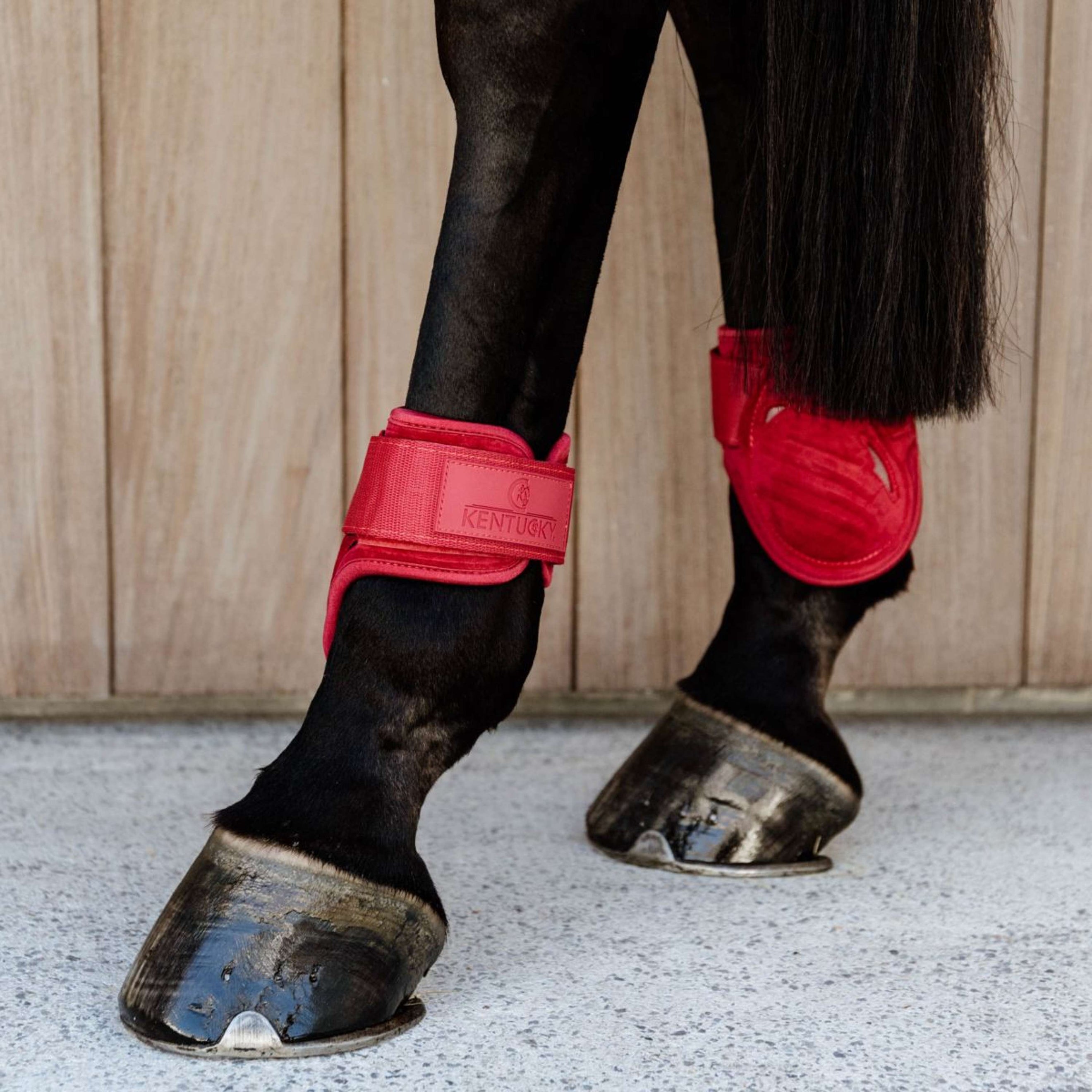 Kentucky Bullet guards Young Horse Velvet Red