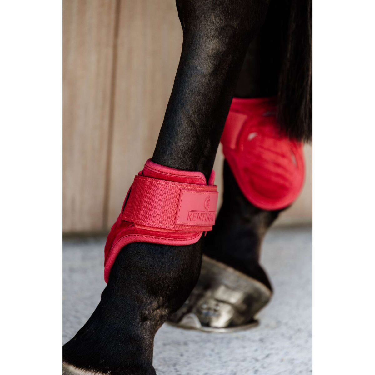 Kentucky Bullet guards Young Horse Velvet Red