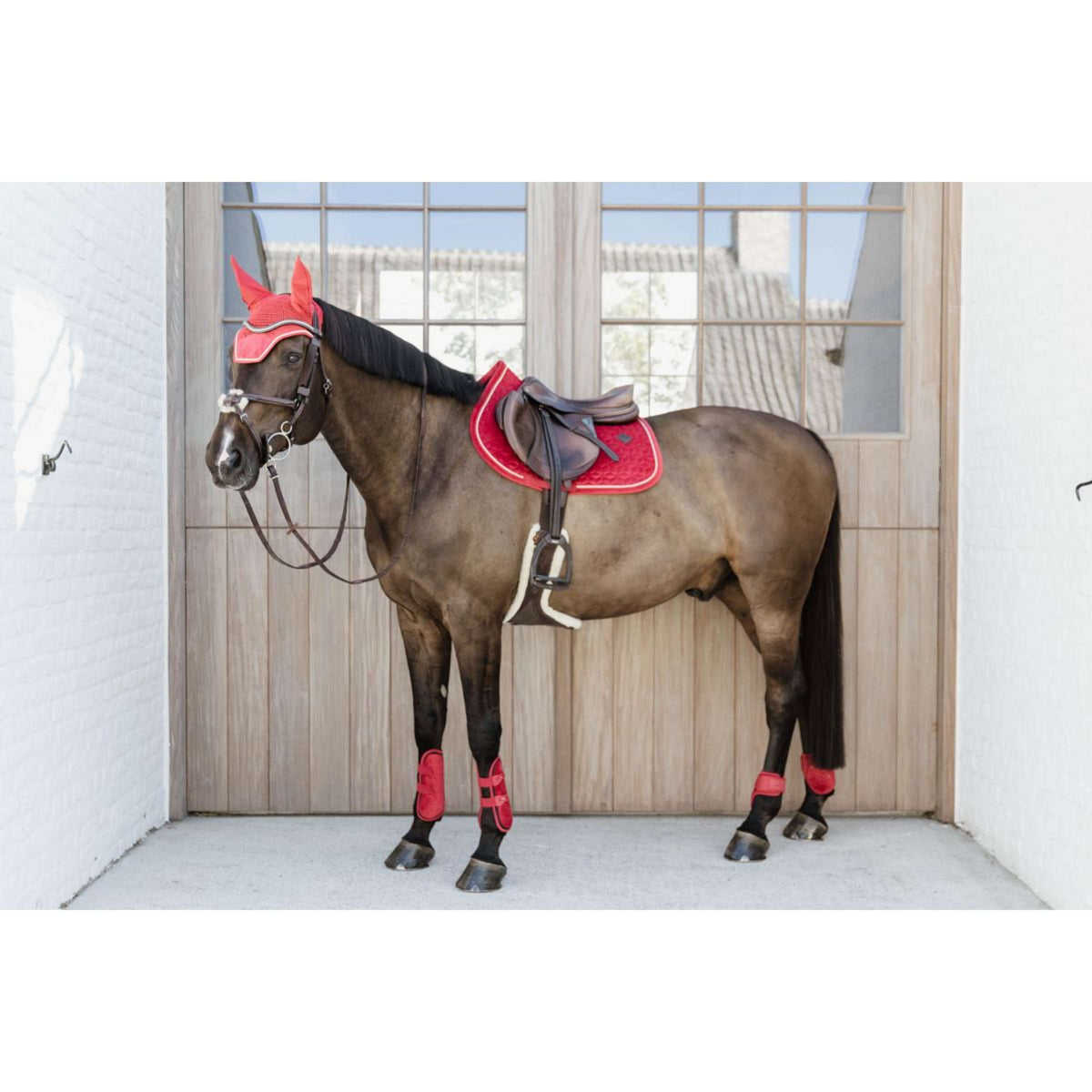 Kentucky Bullet guards Young Horse Velvet Red