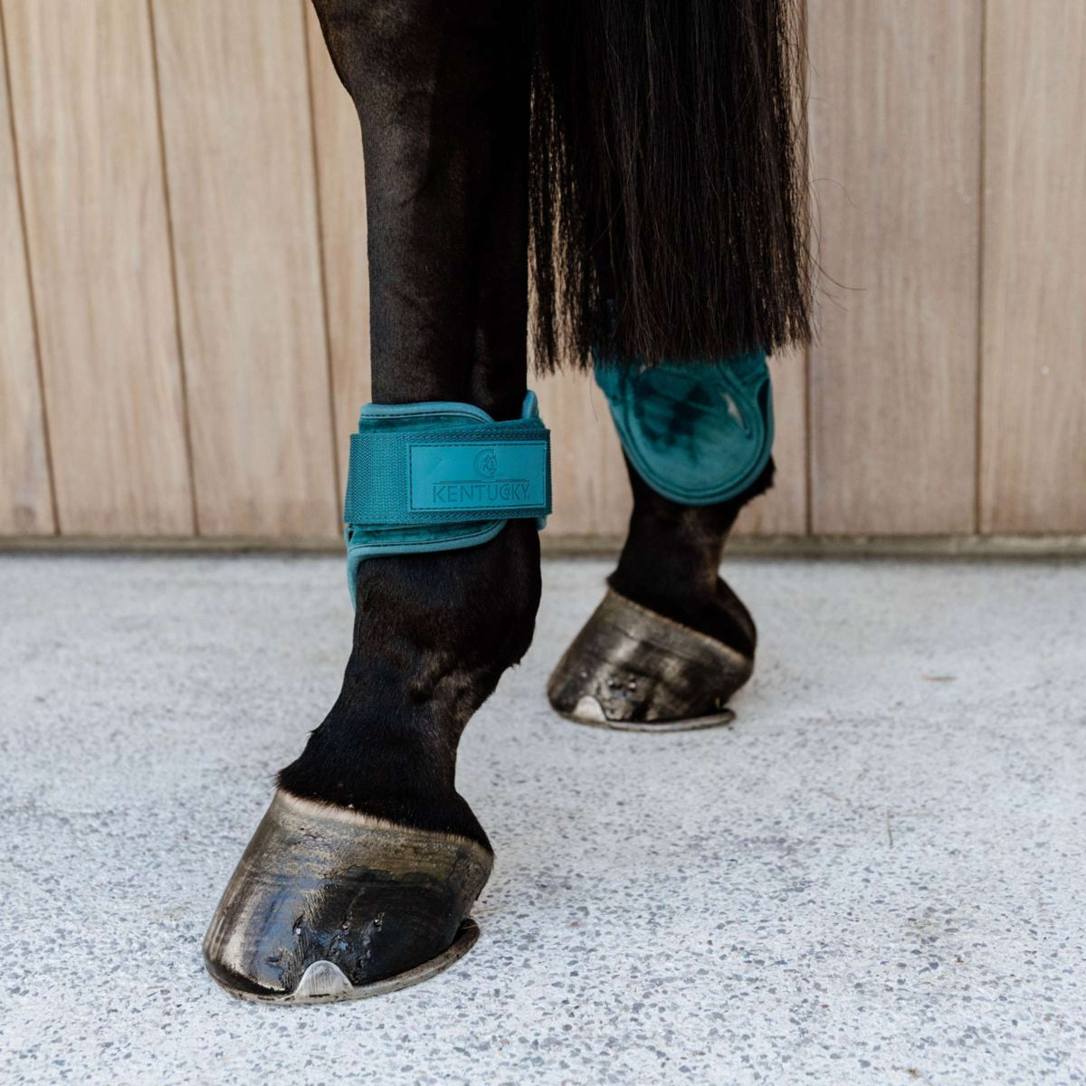 Kentucky Bullet guards Young Horse Velvet Emerald