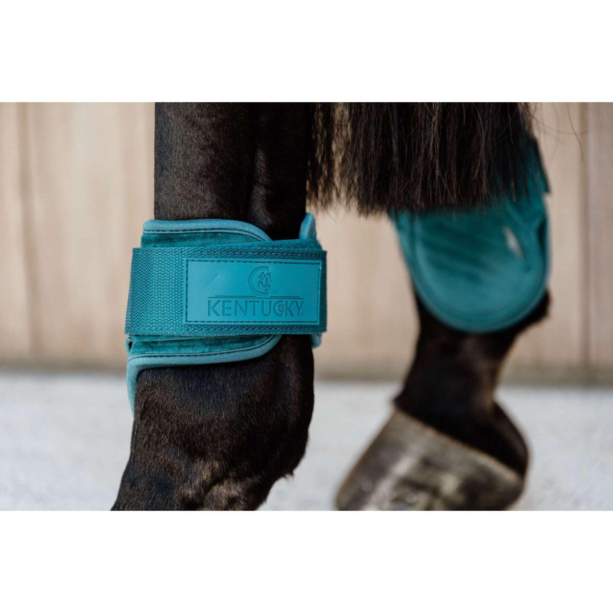 Kentucky Bullet guards Young Horse Velvet Emerald