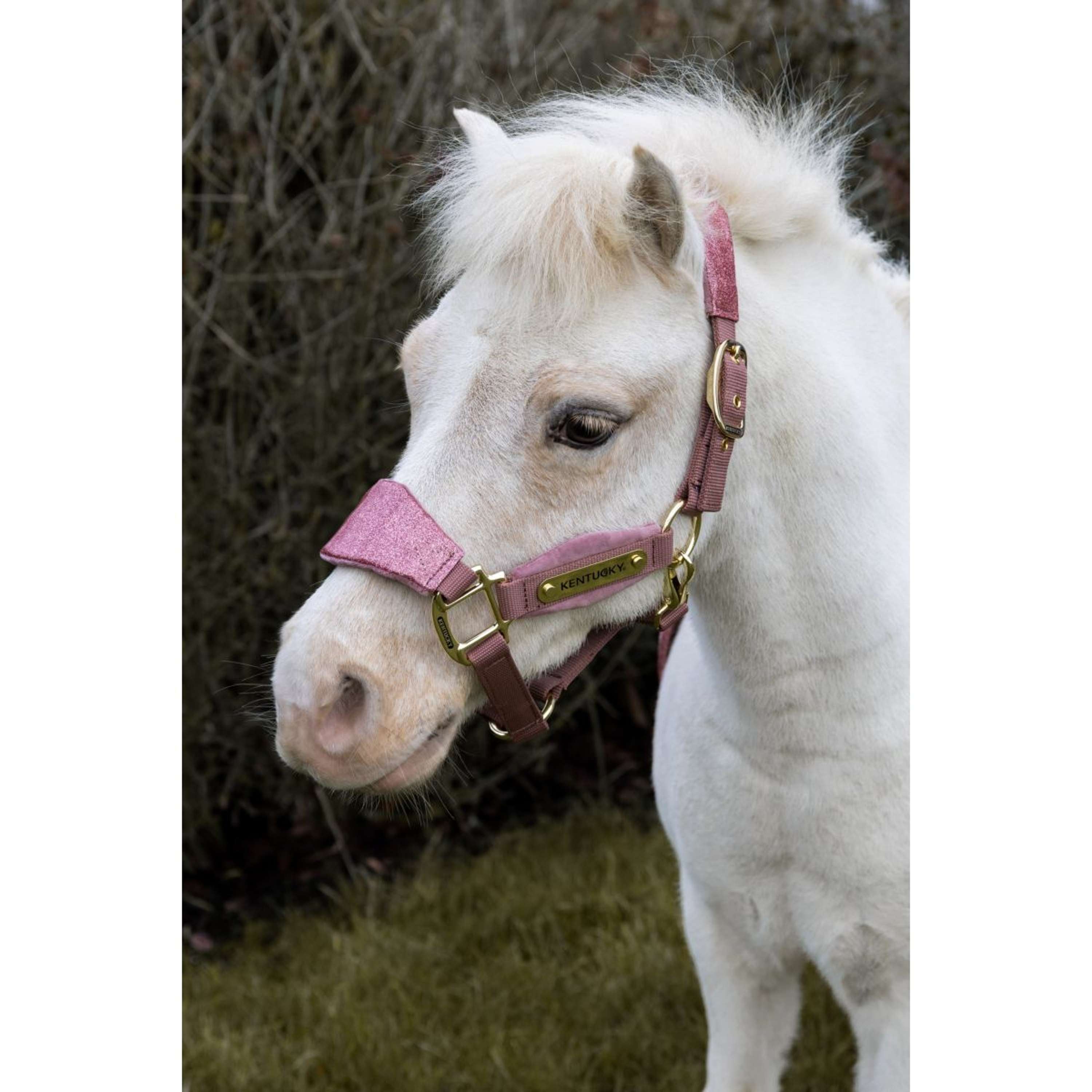Kentucky Horsewear Halter Velvet Glitter Unicorn Old Rose