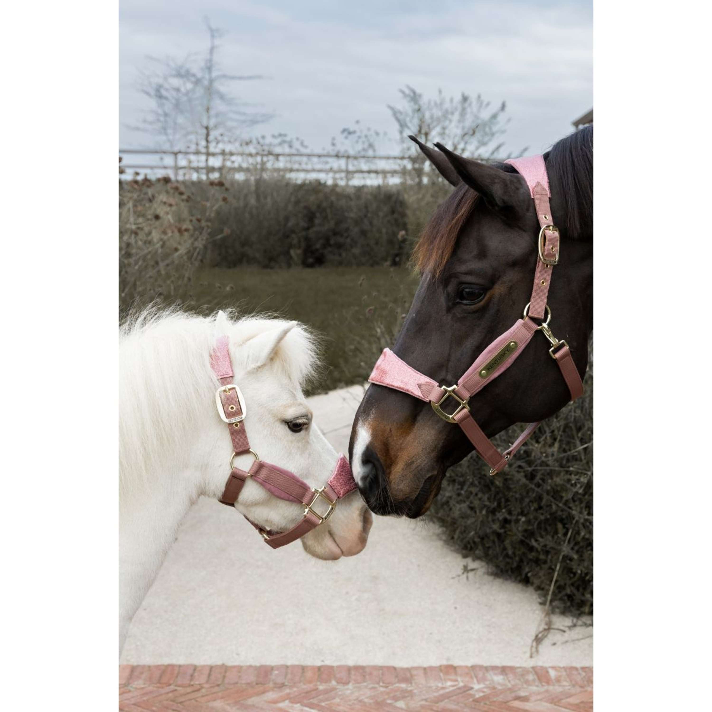 Kentucky Horsewear Halter Velvet Glitter Unicorn Old Rose