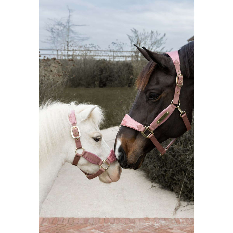 Kentucky Horsewear Halter Velvet Glitter Unicorn Old Rose