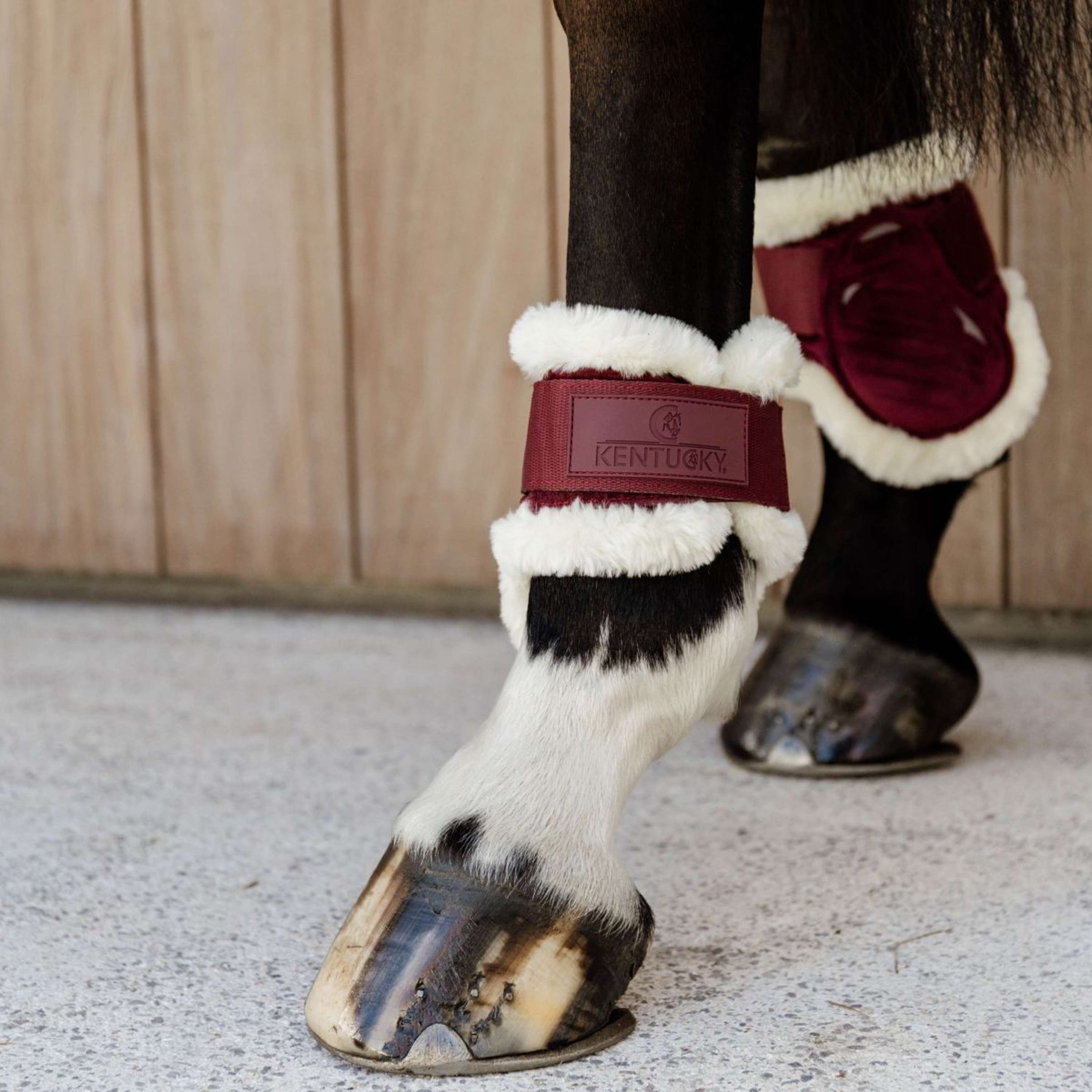 Kentucky Bullet guards Young Horse Velvet Vegan Fur Bordeaux