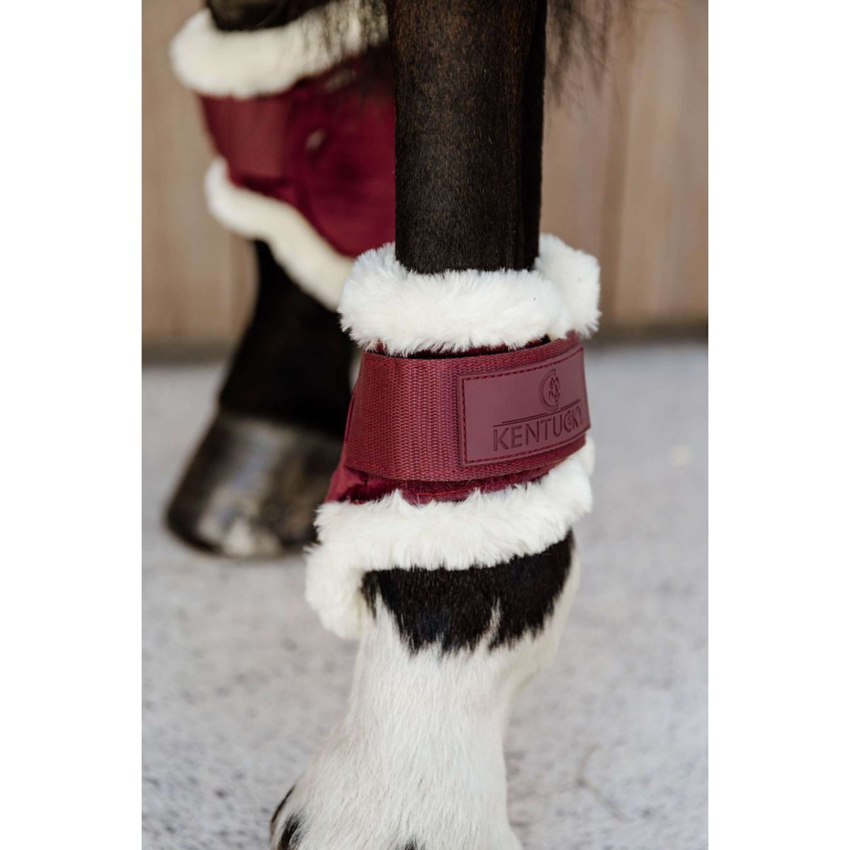 Kentucky Bullet guards Young Horse Velvet Vegan Fur Bordeaux