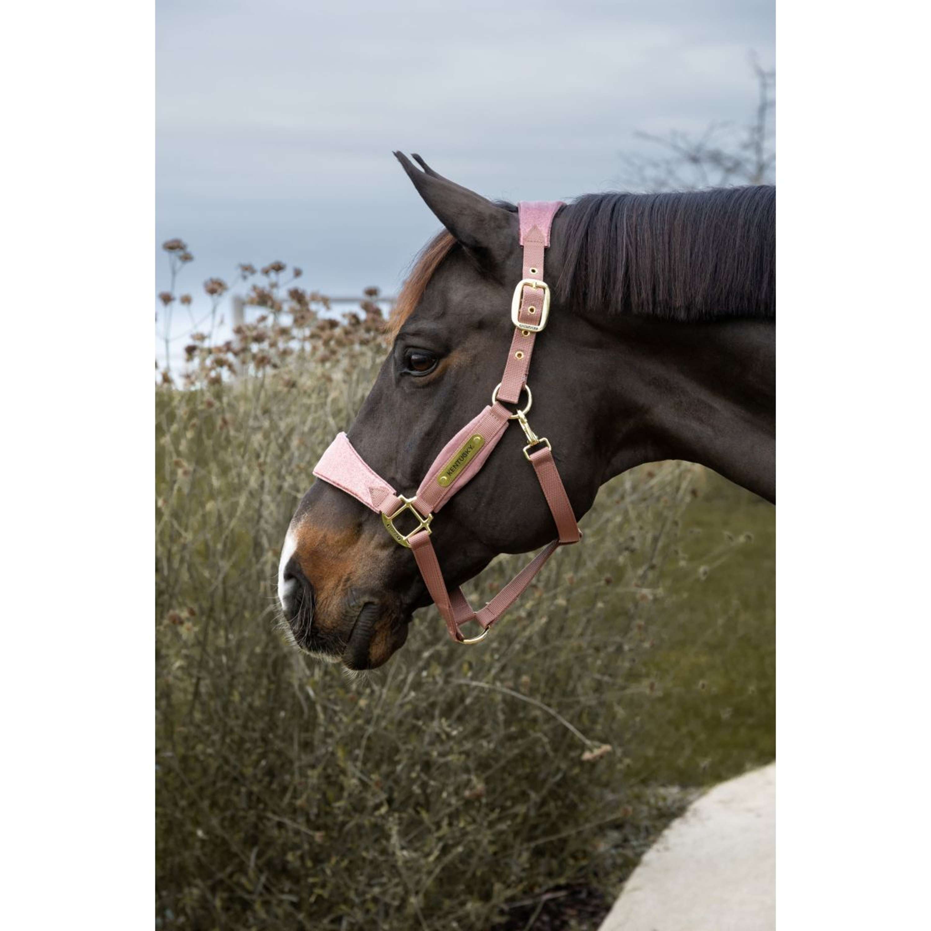 Kentucky Horsewear Halter Velvet Glitter Unicorn Old Rose