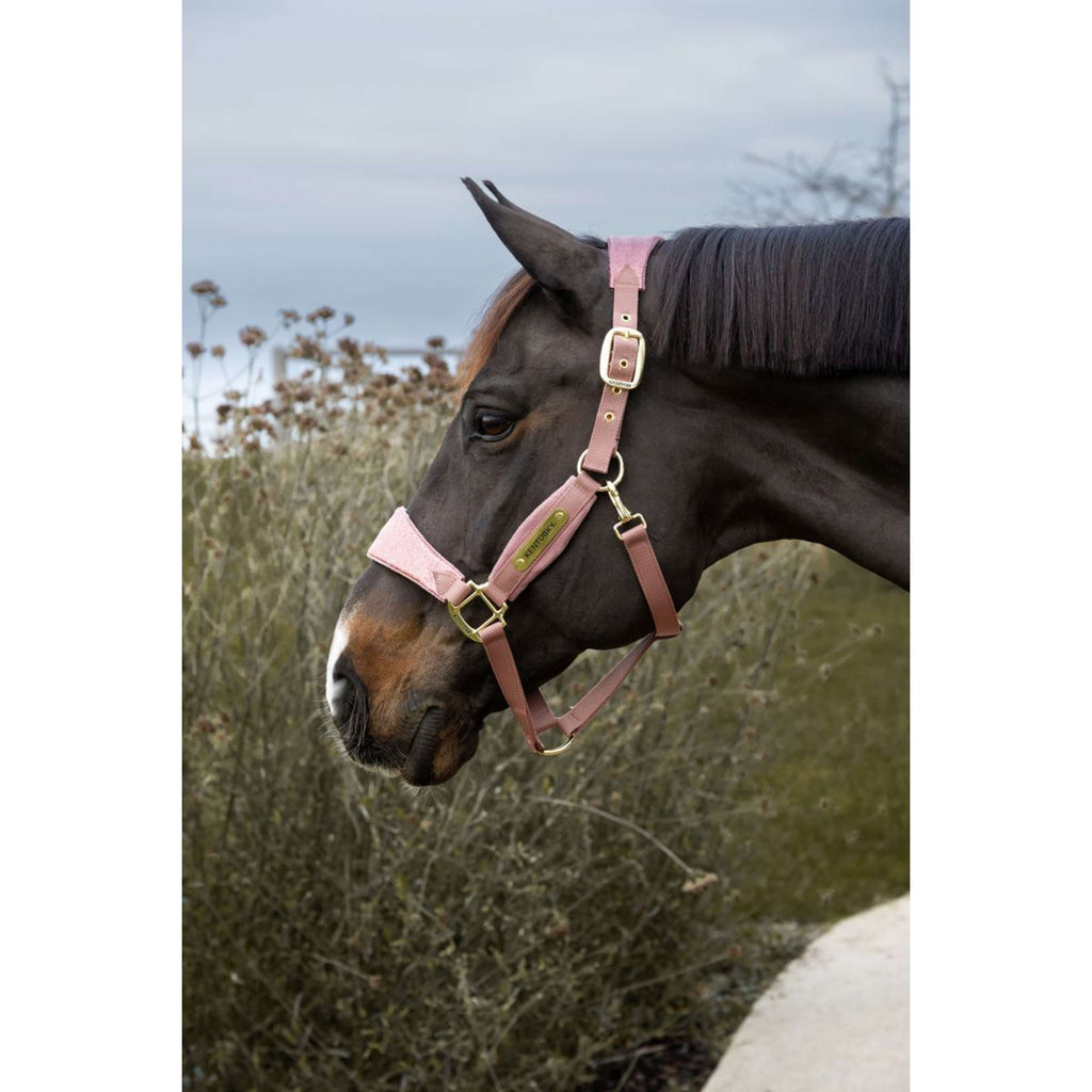 Kentucky Horsewear Halter Velvet Glitter Unicorn Old Rose