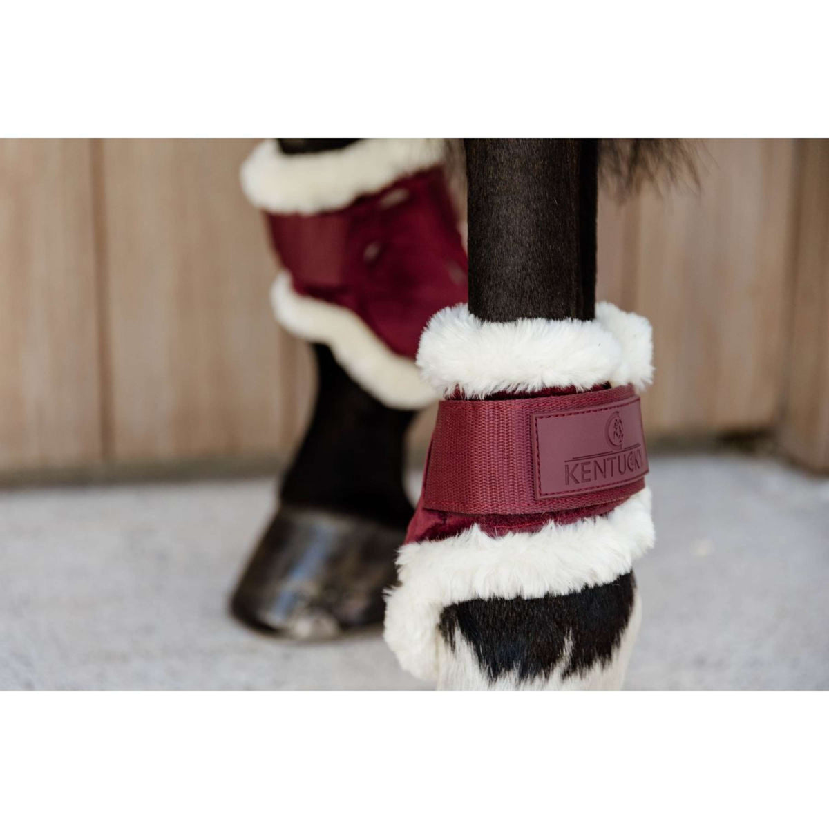 Kentucky Bullet guards Young Horse Velvet Vegan Fur Bordeaux