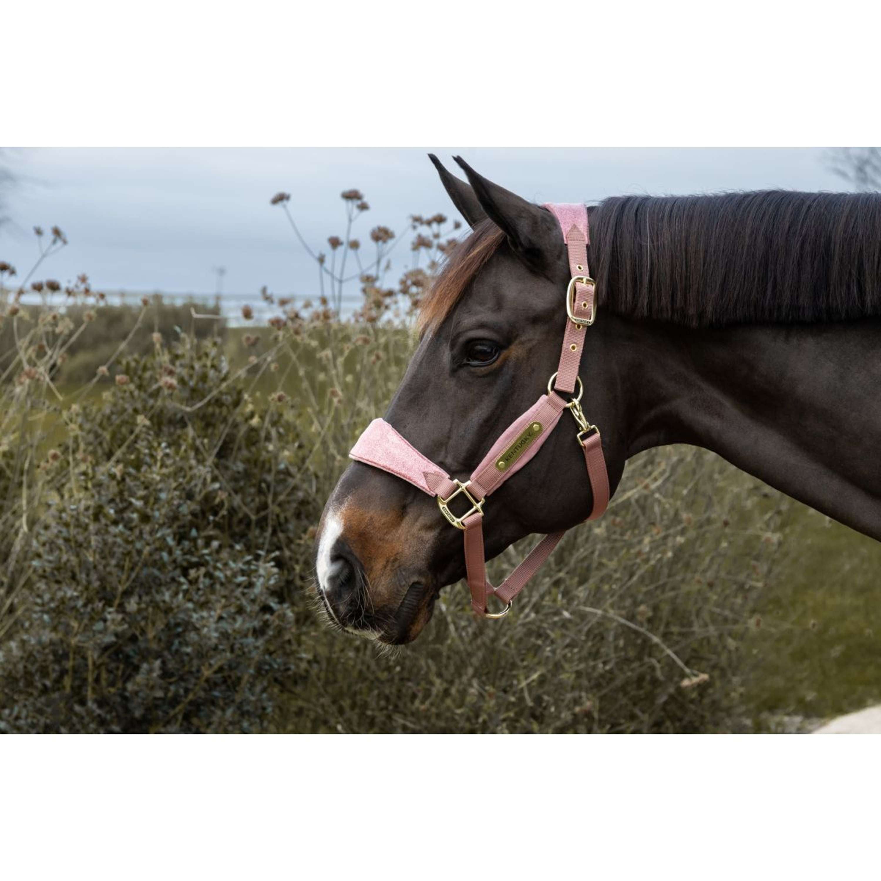 Kentucky Horsewear Halter Velvet Glitter Unicorn Old Rose
