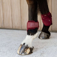 Kentucky Bullet guards Young Horse Velvet Bordeaux