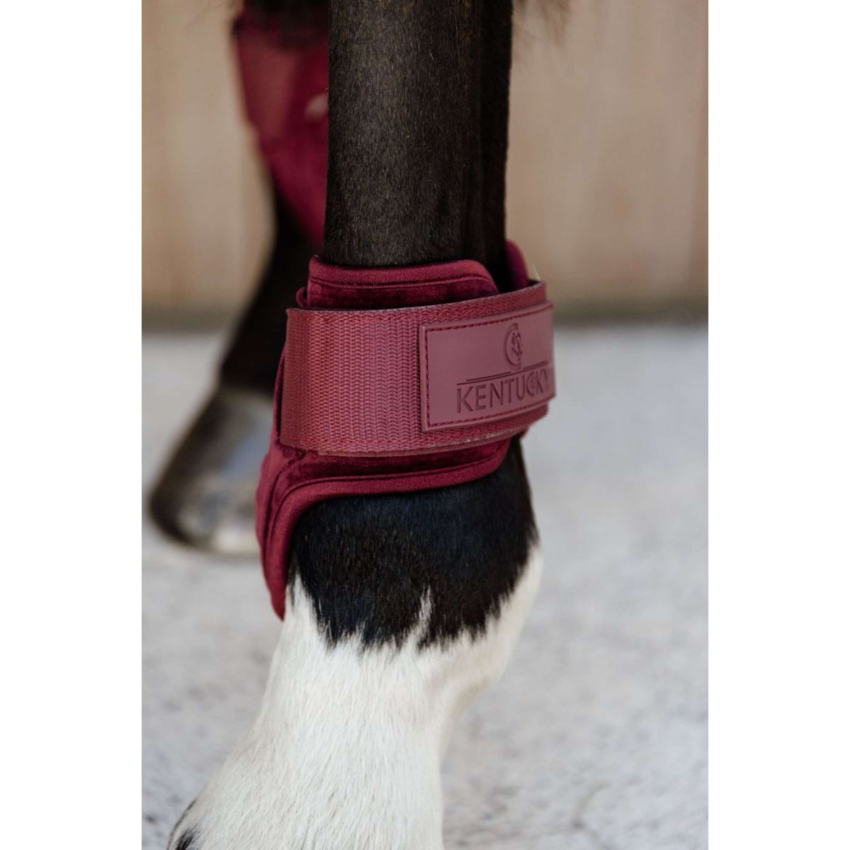 Kentucky Bullet guards Young Horse Velvet Bordeaux