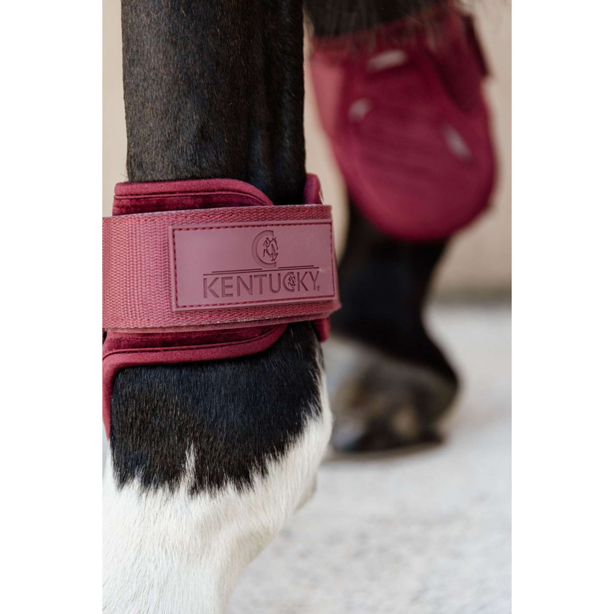 Kentucky Bullet guards Young Horse Velvet Bordeaux