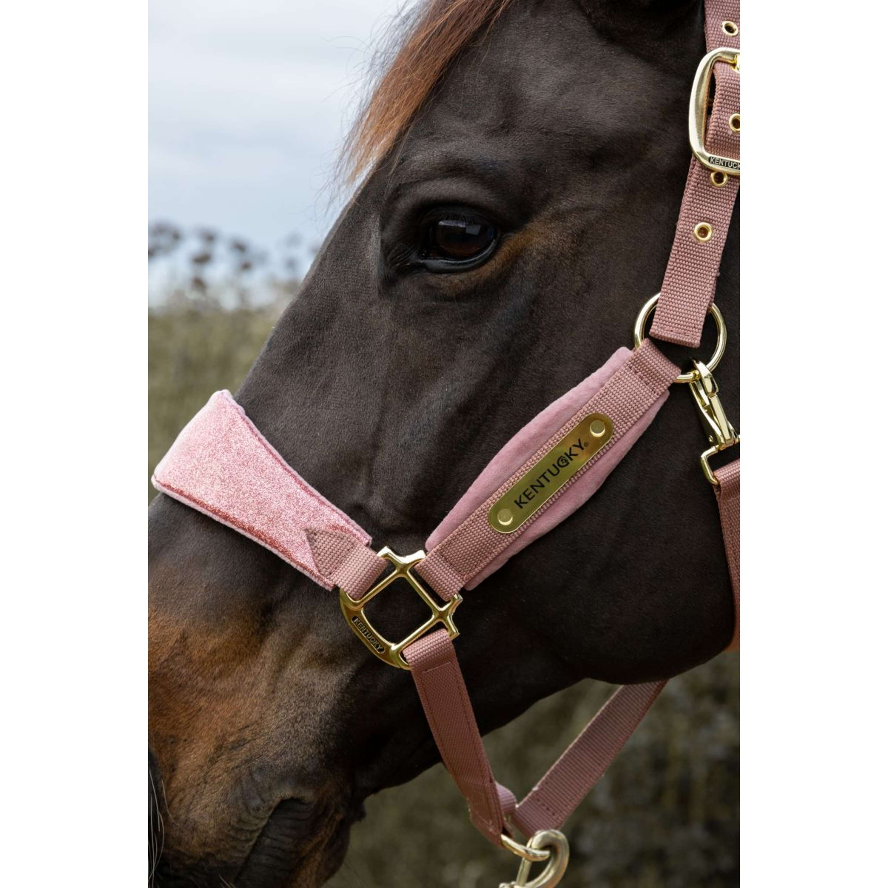 Kentucky Horsewear Halter Velvet Glitter Unicorn Old Rose