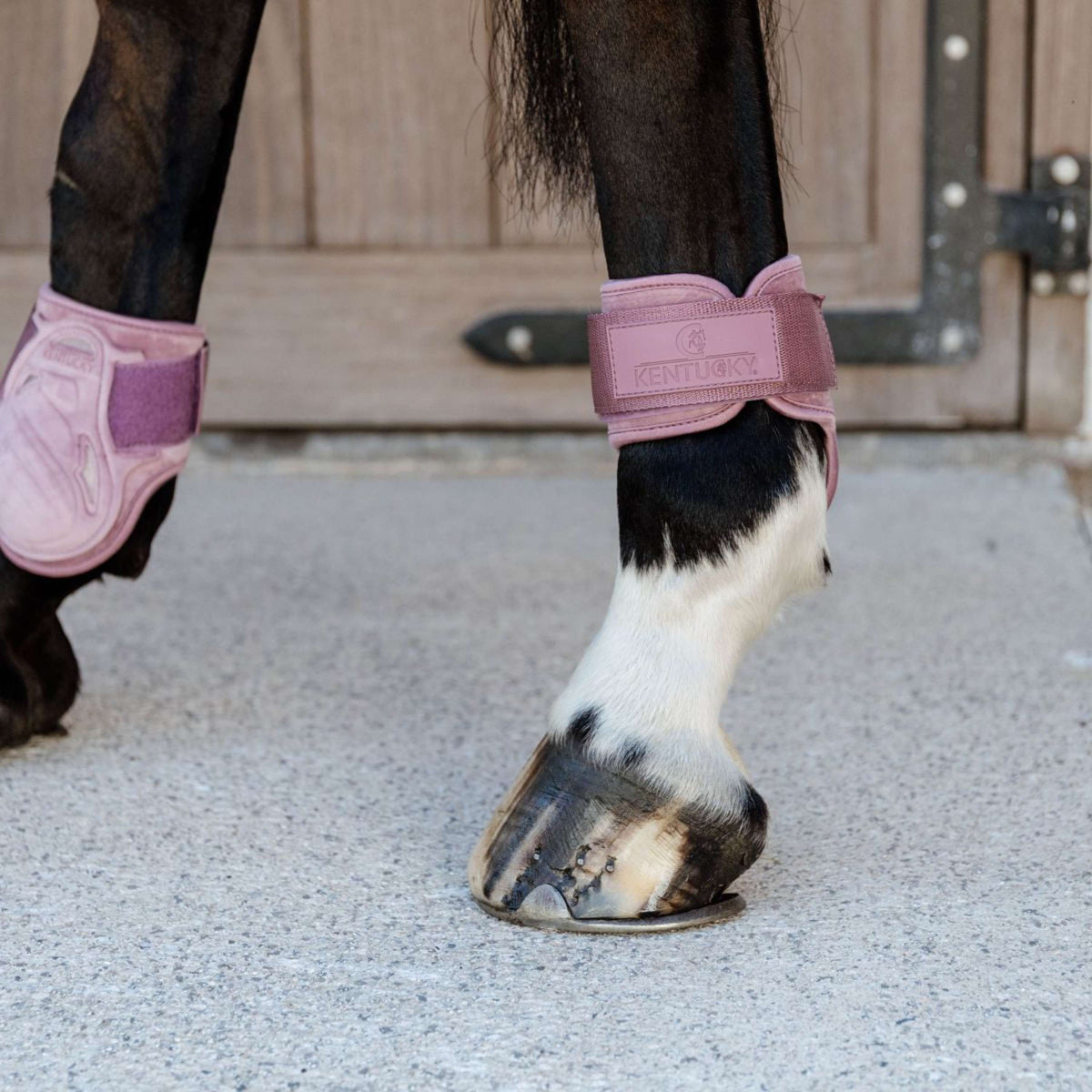 Kentucky Bullet guards Young Horse Velvet Old Rose