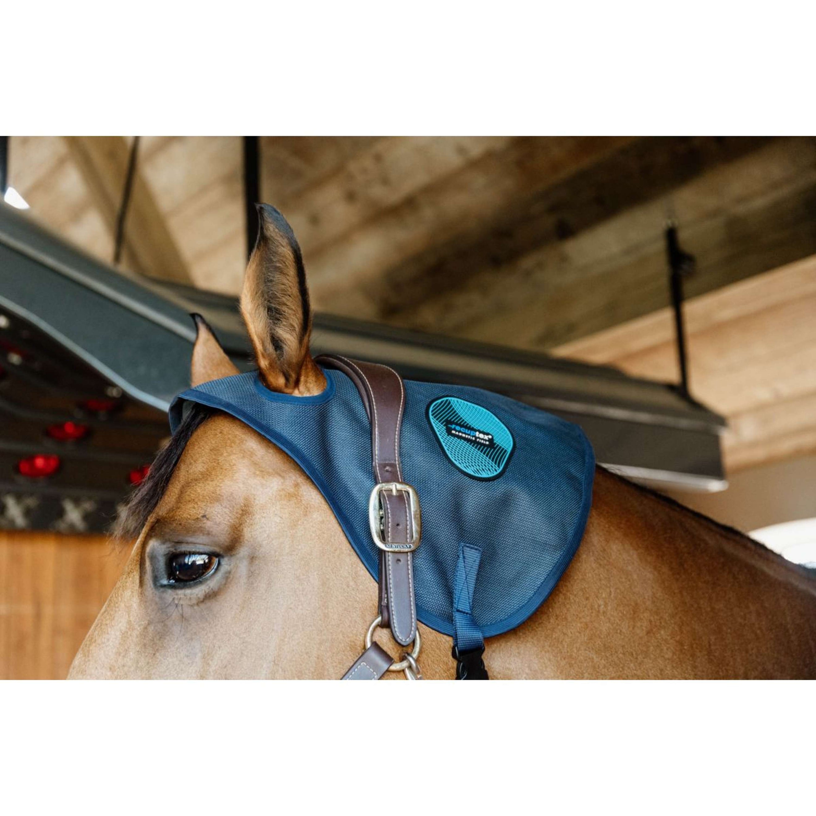 Kentucky Magnetic Neck Protector Recuptex Blue