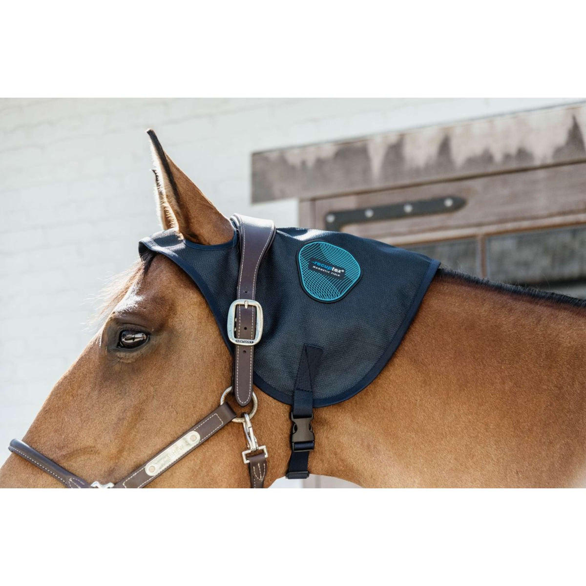 Kentucky Magnetic Neck Protector Recuptex Blue