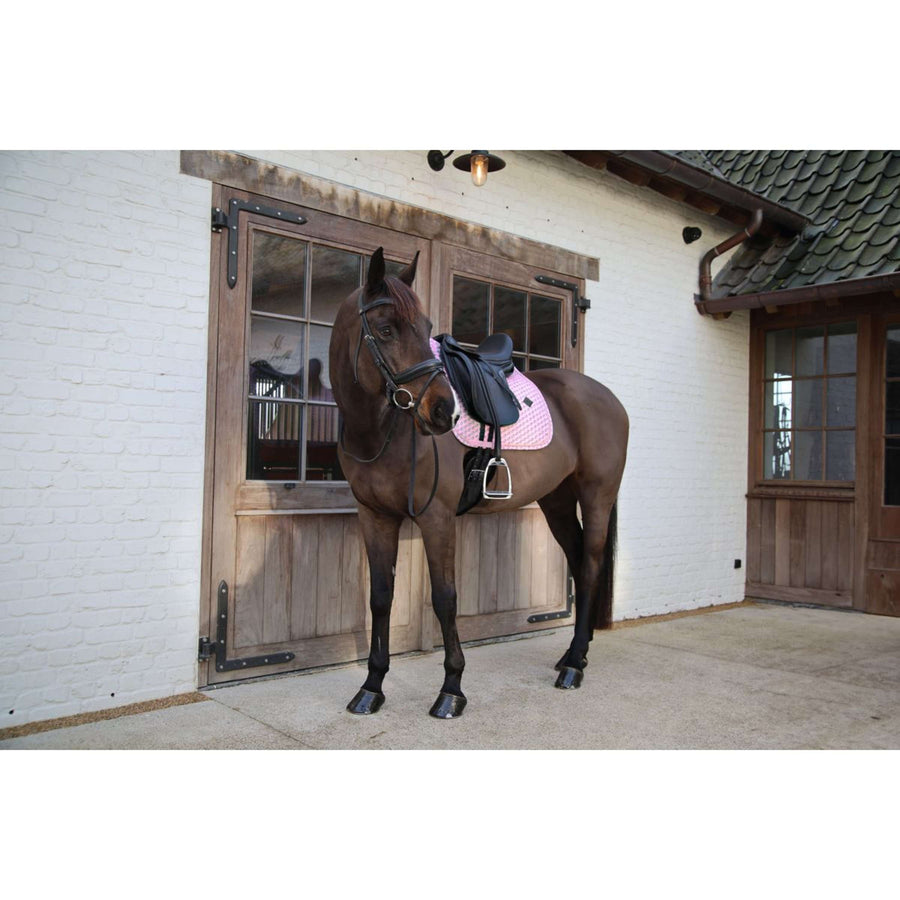 Kentucky Saddlepad Velvet Sammy Dressage Old Rose