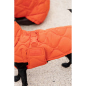 Kentucky Dog Rug Winter Pina 160g Orange