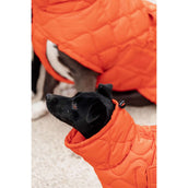 Kentucky Dog Rug Winter Pina 160g Orange