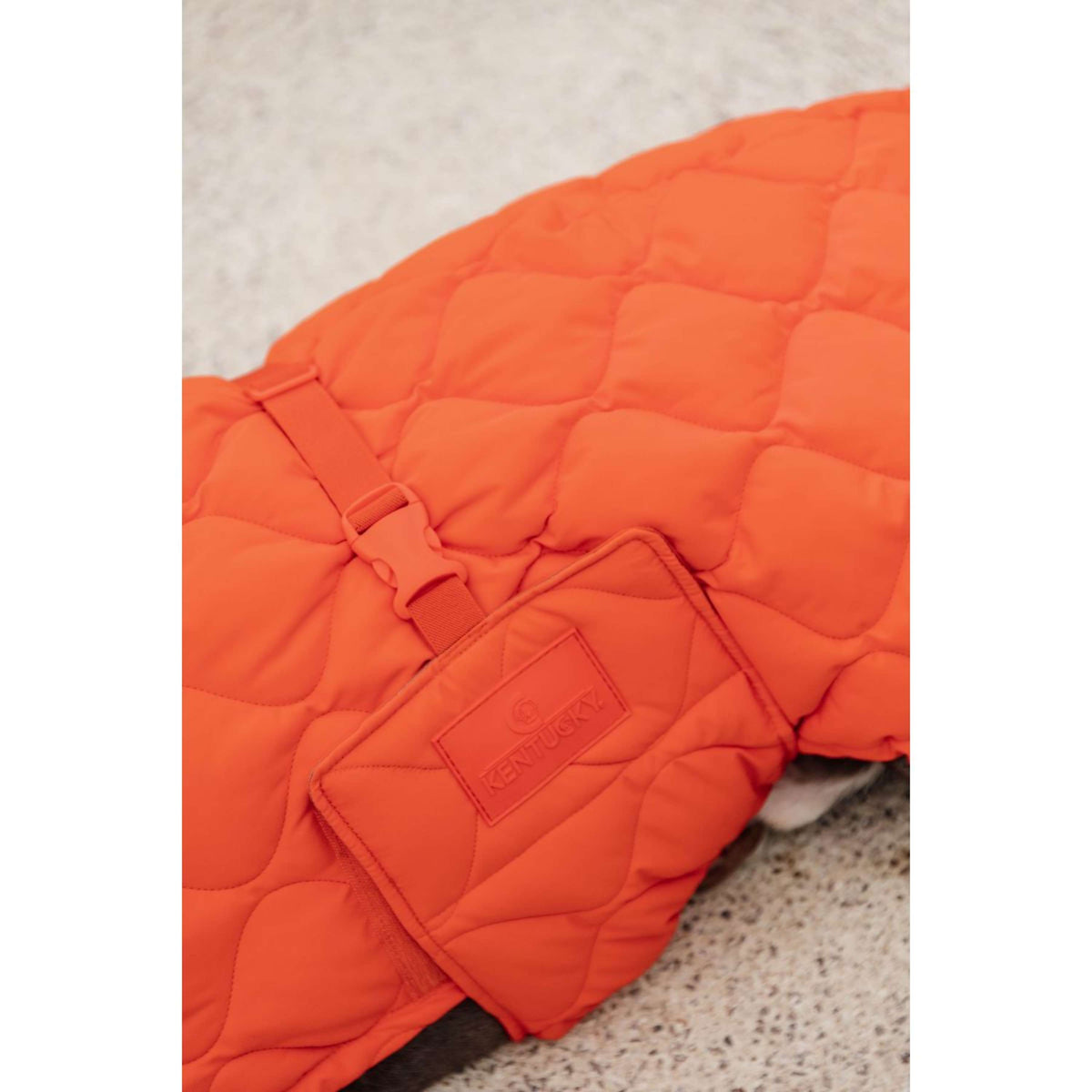 Kentucky Dog Rug Winter Pina 160g Orange