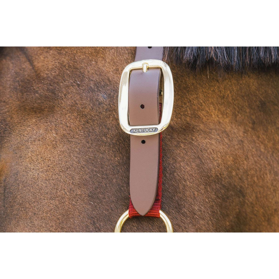 Kentucky Halter Nylon Breakaway Bordeaux