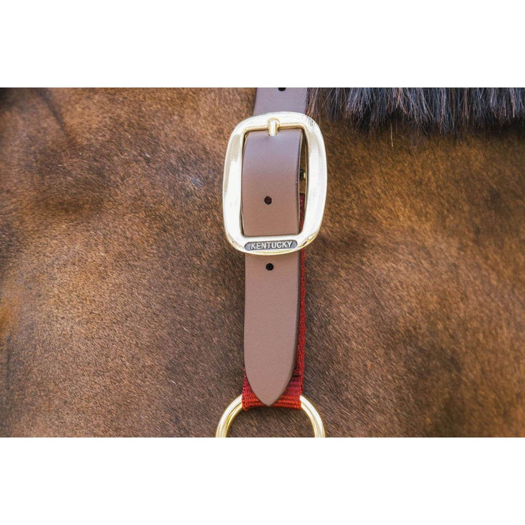 Kentucky Halter Nylon Breakaway Bordeaux