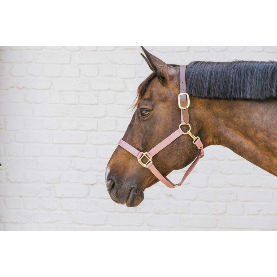 Kentucky Halter Nylon Breakaway Old Rose