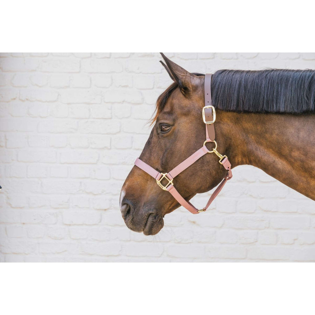Kentucky Halter Nylon Breakaway Old Rose