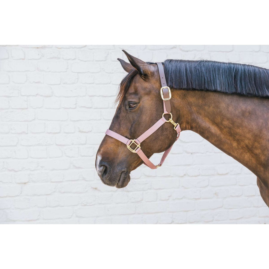 Kentucky Halter Nylon Breakaway Old Rose